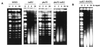 FIG. 7