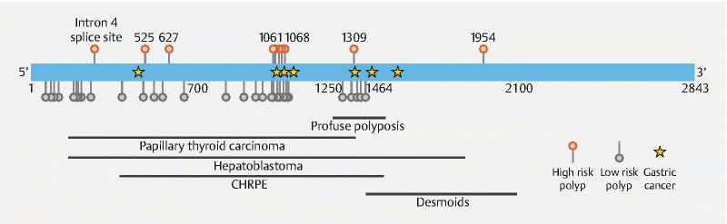 Fig. 2