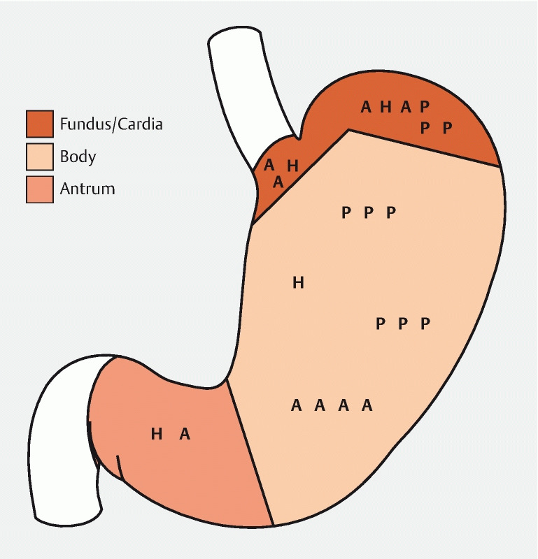 Fig. 1