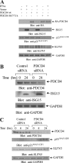 Fig 7
