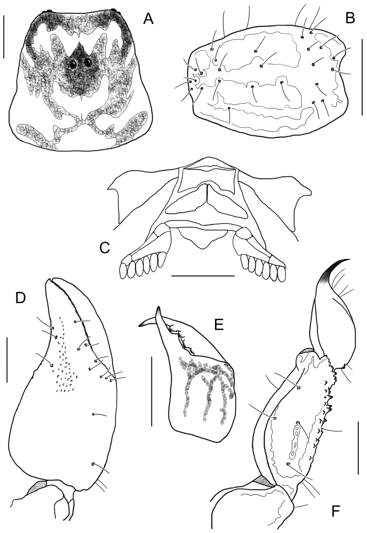 Figure 16.