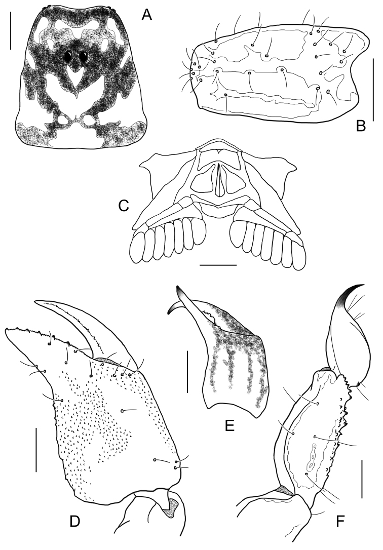 Figure 18.