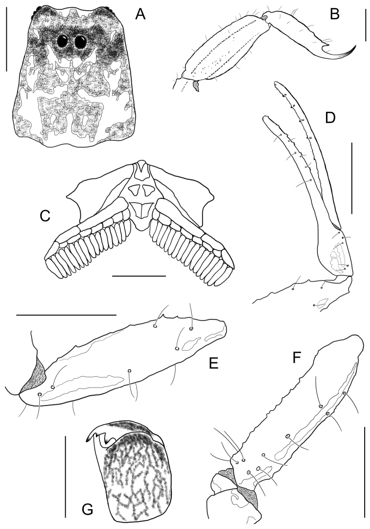 Figure 5.