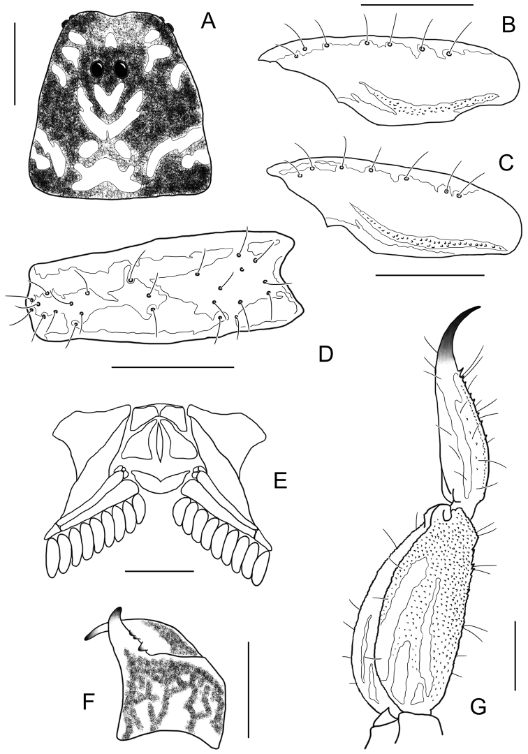 Figure 28.