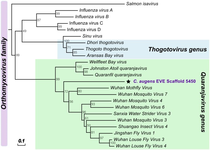 Fig. 5.