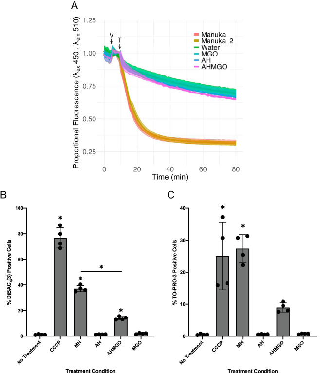 FIG 6