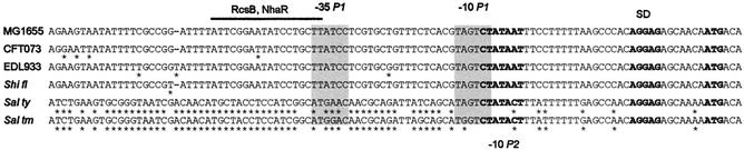 FIG. 4.