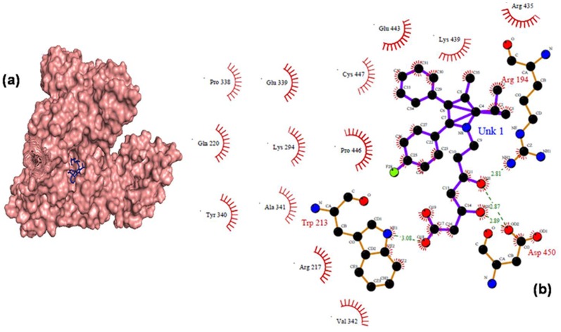 Figure 11