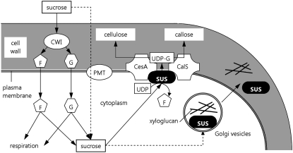 Figure 10.