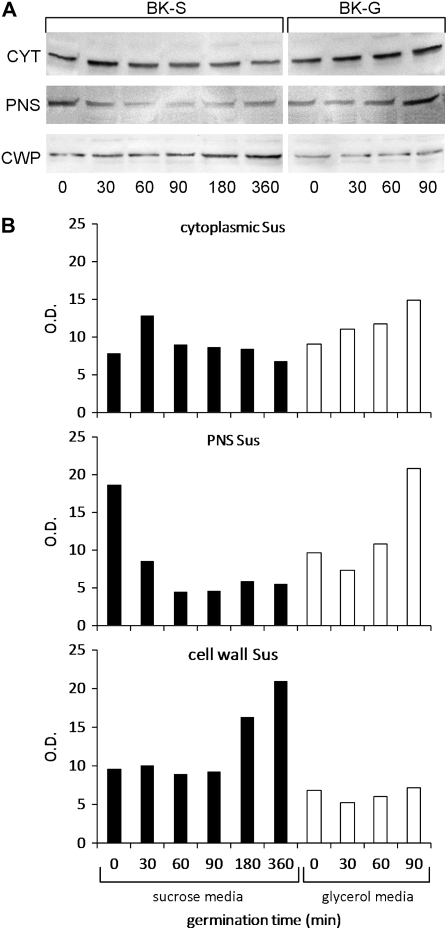 Figure 9.