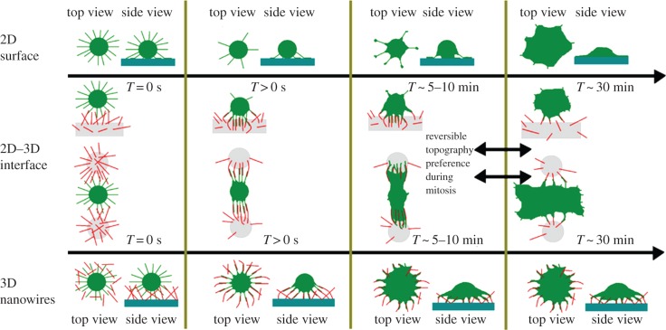 Figure 4.