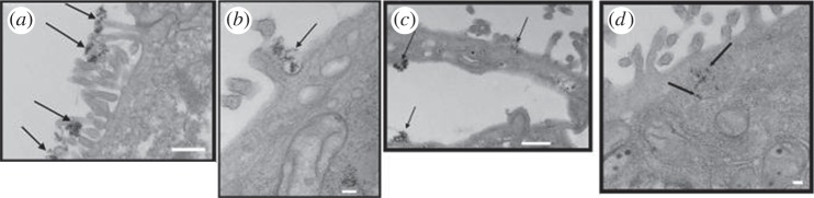 Figure 5.