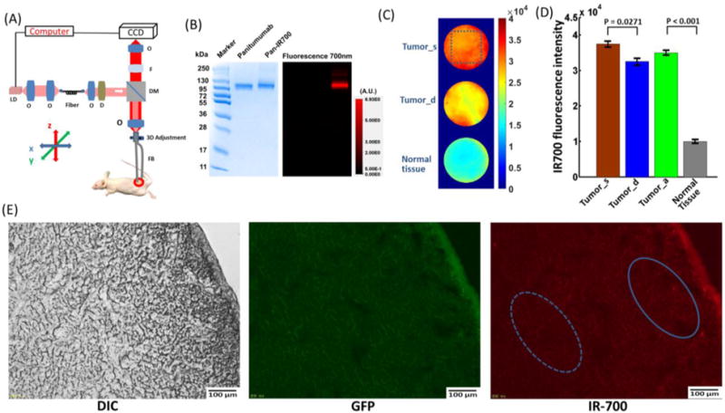 Fig.1