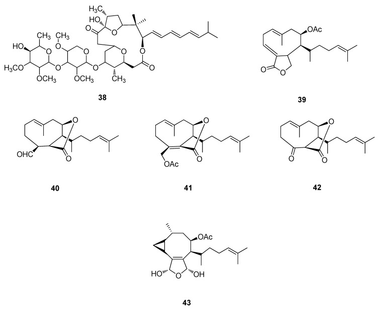 Figure 12