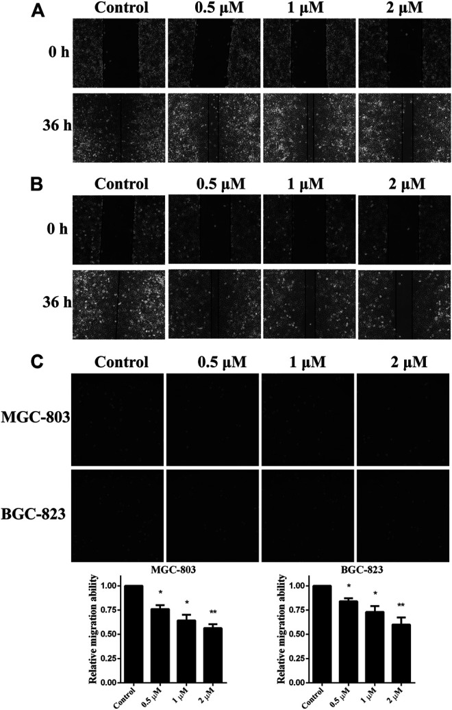 FIGURE 3