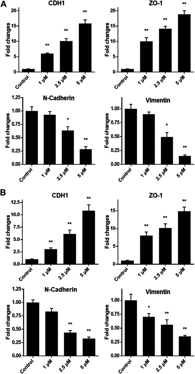 FIGURE 4