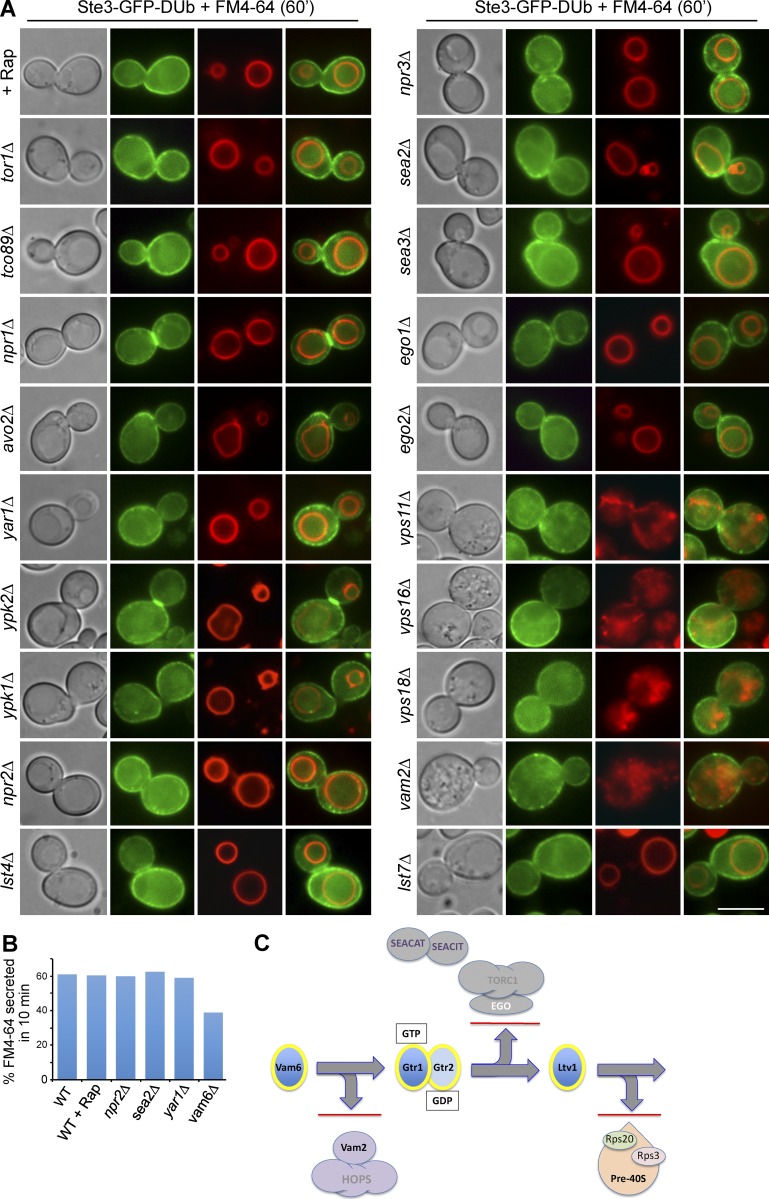 Figure 6.