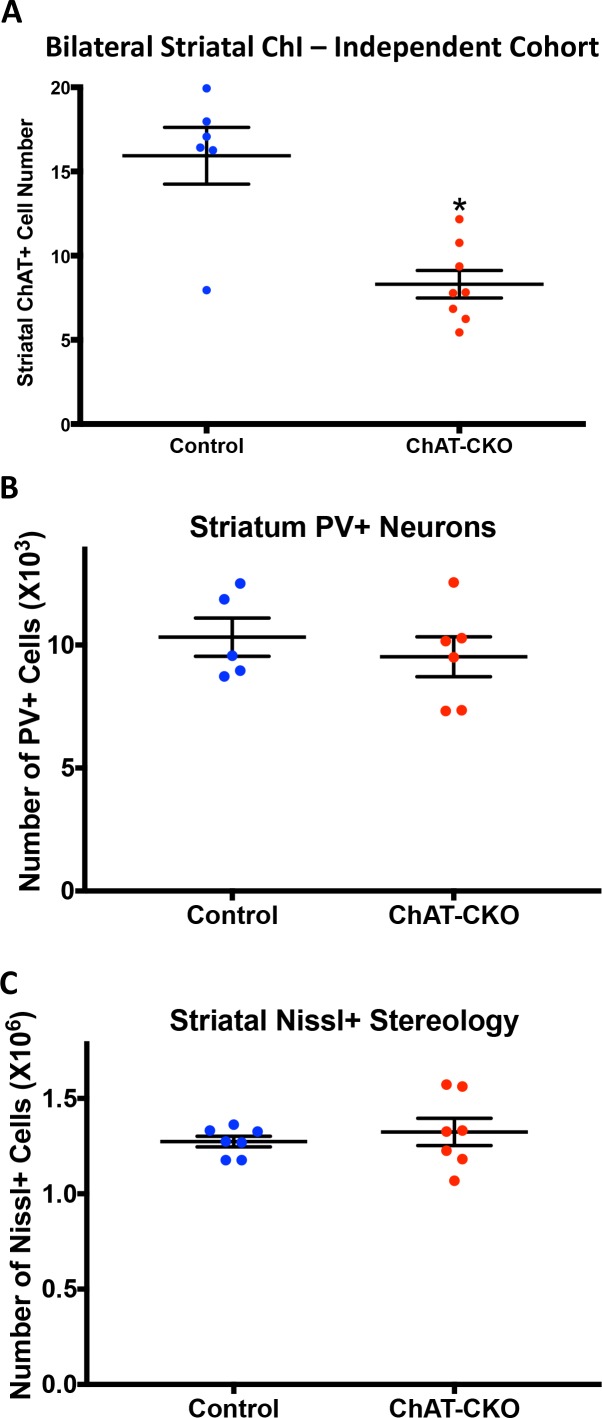 Figure 1—figure supplement 2.