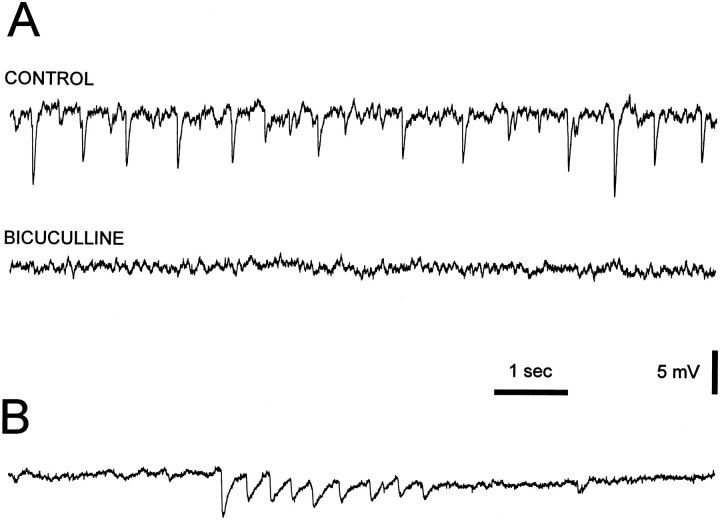 Fig. 12.