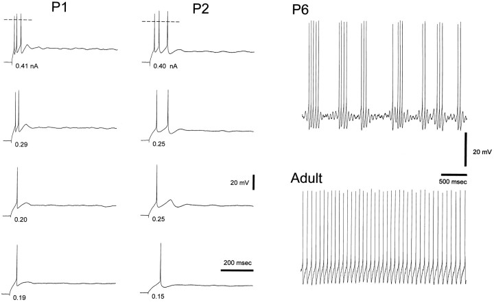 Fig. 3.