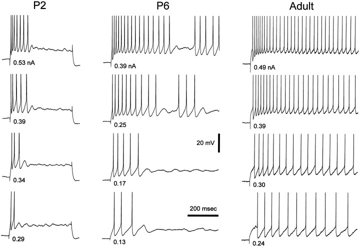 Fig. 4.