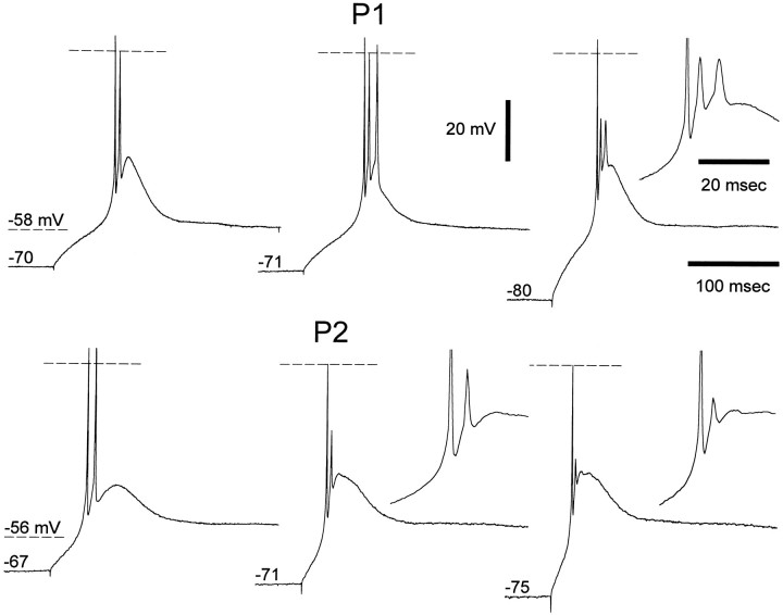 Fig. 6.