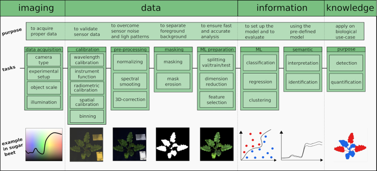 Figure 3: