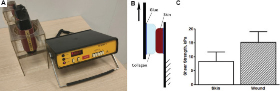 Figure 4