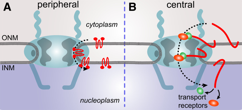 Fig. 8