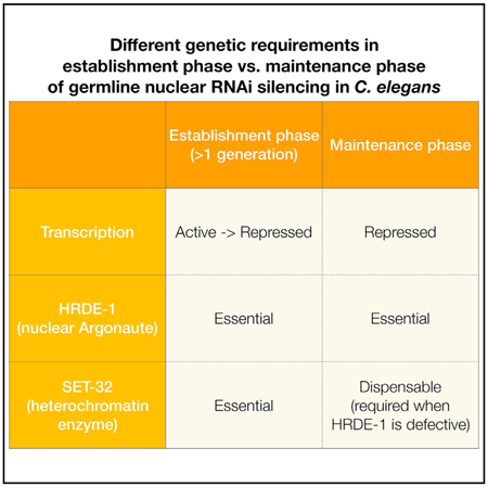 graphic file with name nihms-1515794-f0001.jpg