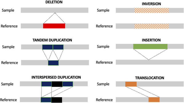 FIGURE 1