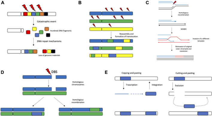 FIGURE 2