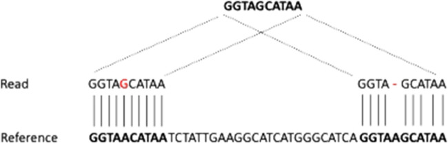 FIGURE 3