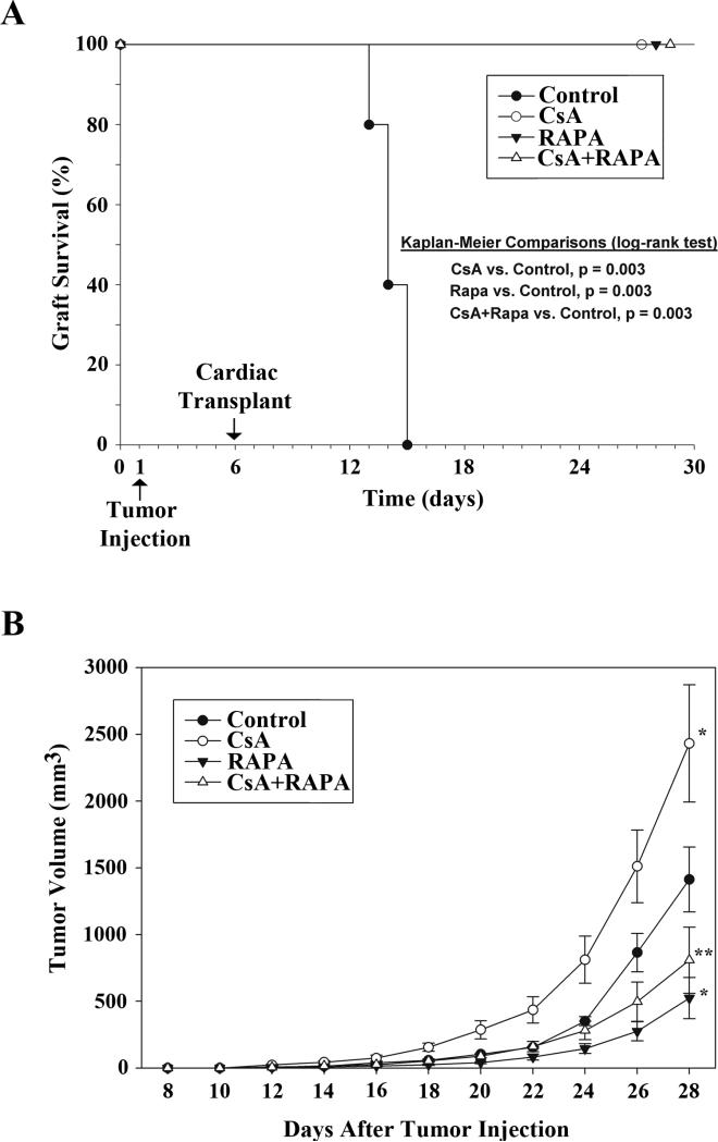 Figure-3