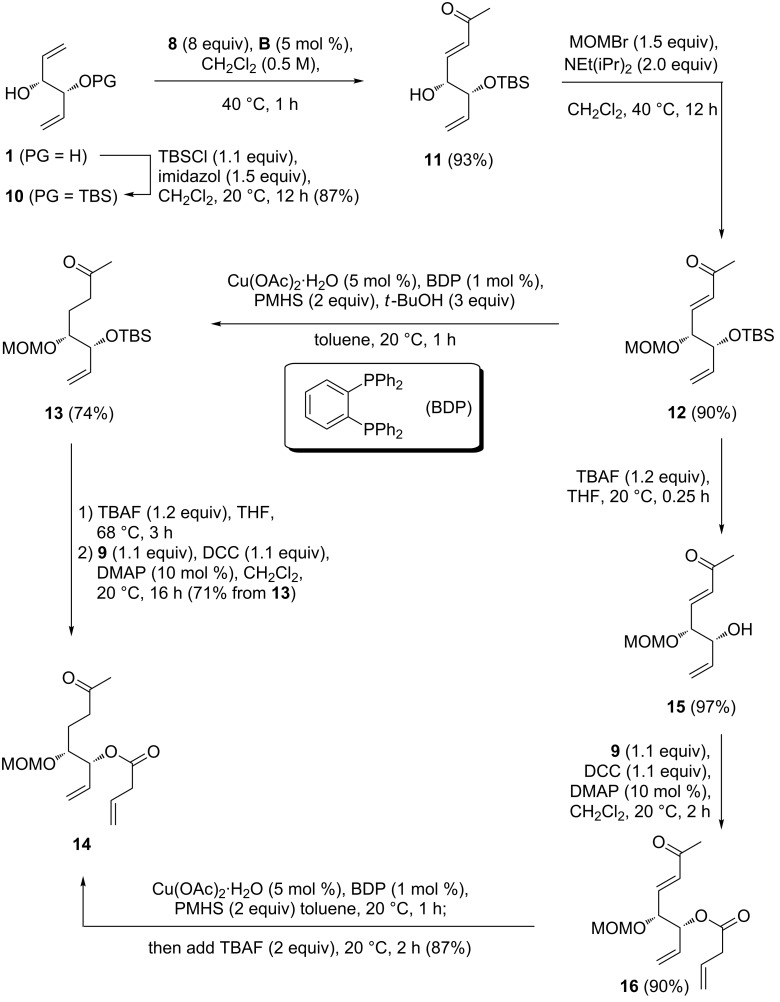 Scheme 3