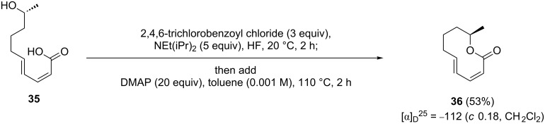 Scheme 8