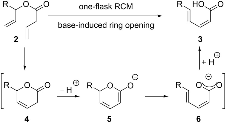 Scheme 1