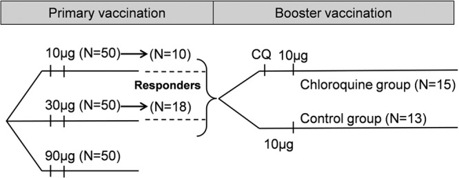 FIG 1