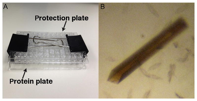 Fig. 2