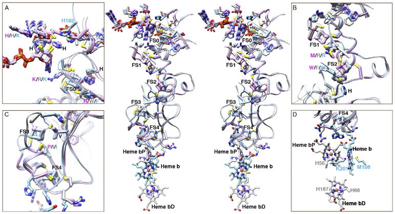 Fig. 8