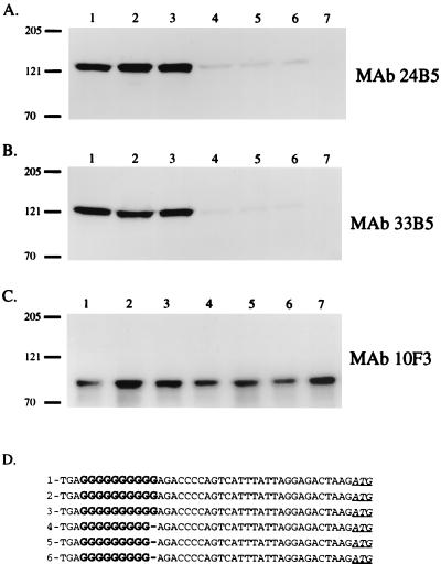 FIG. 6