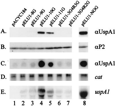 FIG. 7