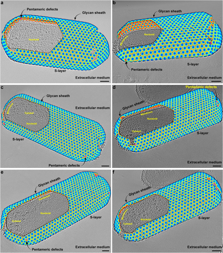 Extended Data Fig. 8