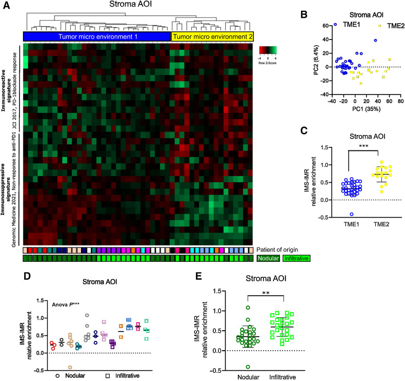 Figure 1. Spatial transcriptomics reveals immune heterogeneity of TME in human BCCs. A, Heatmap of the unsupervised clustering of peritumoral AOIs from human BCC samples, processed by spatial transcriptomics and analyzed for IMR and IMS signatures, associated to PD-1 blockade response. B, Unsupervised PCA plot of the spatial transcriptomics analysis on all stroma AOIs. C, Average expression level of the difference between the IMS and IMR signature scores in the Tumor MicroEnvironment 1 (TME1) and Tumor MicroEnvironment 2 (TME2) AOIs. D, Average expression level of the difference between the IMS and IMR signature scores in the individual nodular and infiltrative BCC samples. E, Average expression level of the difference between the IMS and IMR signature scores in the pooled nodular and infiltrative BCC samples. Horizontal bars in C, D, and E indicate the mean ± SD. P values in C and E were calculated by unpaired two-sided Student t test. P value in D was calculated using Anova test. **, P < 0.01; ***, P < 0.001.