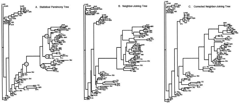 Figure  1