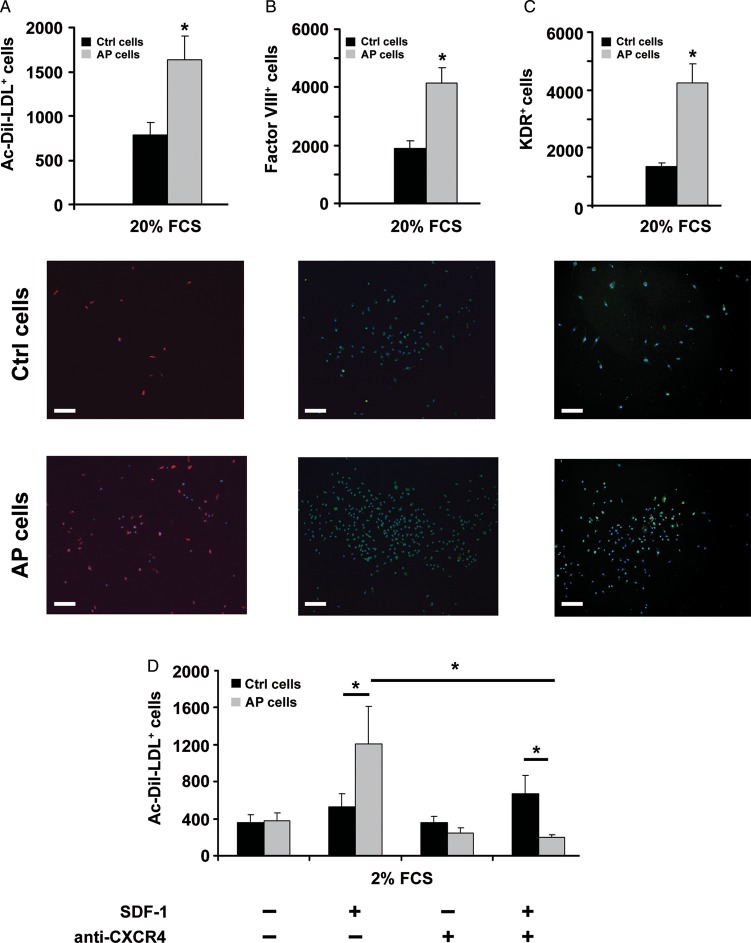 Figure 4