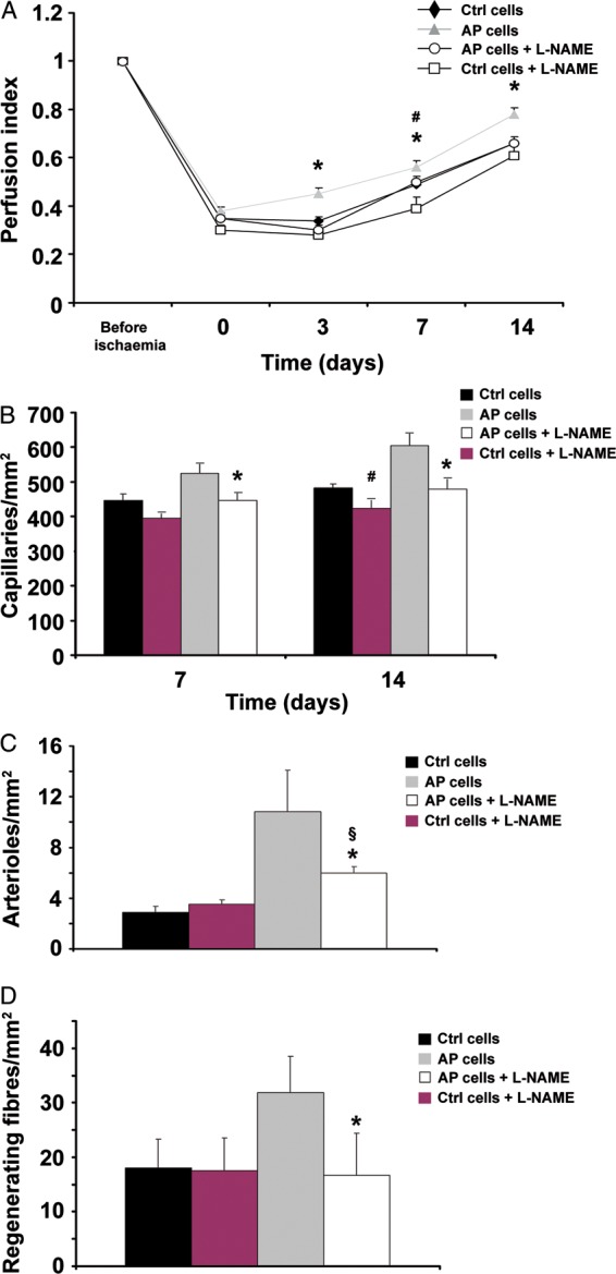 Figure 6