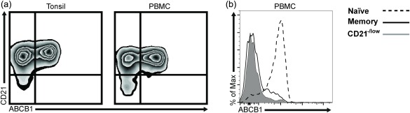 Figure 5