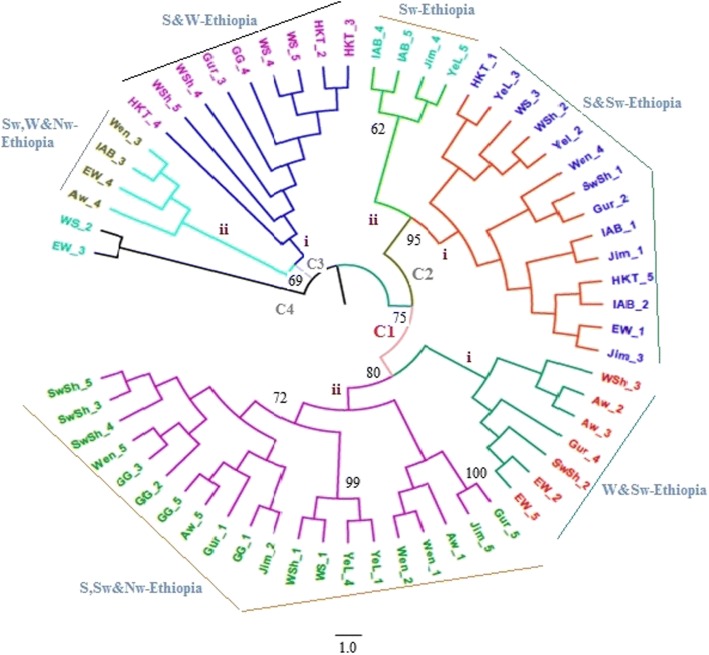 Fig. 2