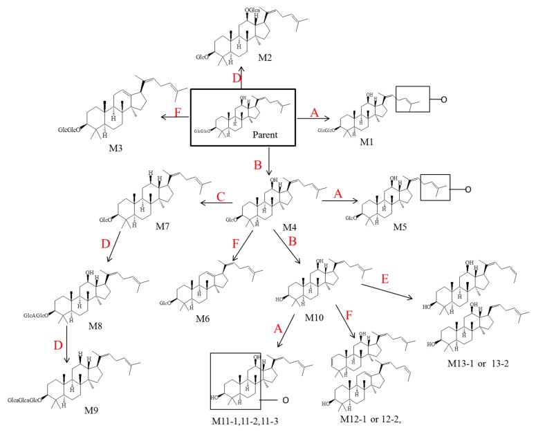 Figure 6